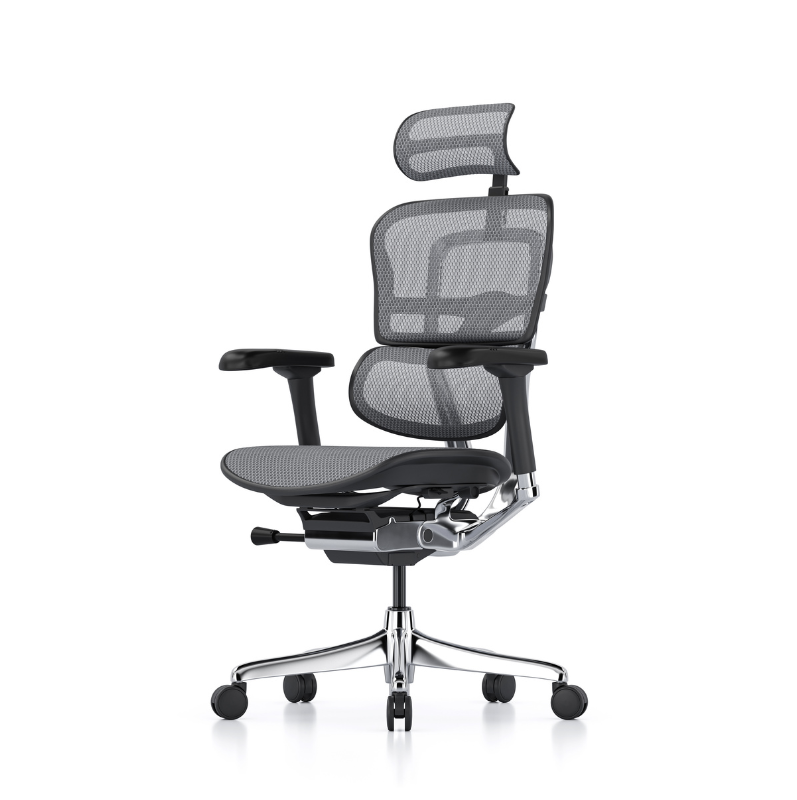 Ergohuman Elite G2 ergonomic office chair black grey mesh with headrest”