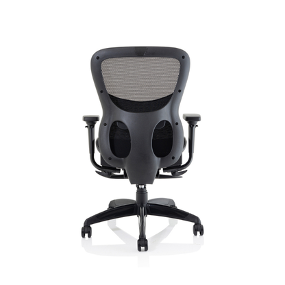 Dynamic Stealth Shadow ergonomic office chair showing high back, armrests and supportive seat with rear view