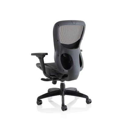 Dynamic Stealth Shadow ergonomic office chair showing high back, armrests and supportive seat