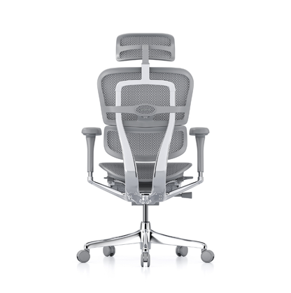 A modern grey ergonomic office chair with a mesh back, adjustable armrests, and a chrome five-wheel base, shown from the rear on a white background.