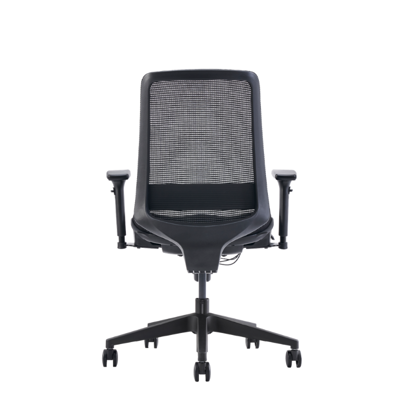 C19 a modern black mesh office chair with adjustable armrests and a five-star wheeled base, shown from the rear.