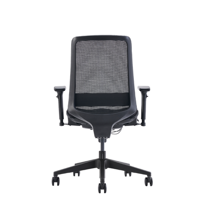 C19 a modern black mesh office chair with adjustable armrests and a five-star wheeled base, shown from the rear.