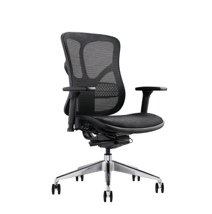 A modern black mesh office chair with adjustable armrests and a chrome five-star wheeled base view from an angle.