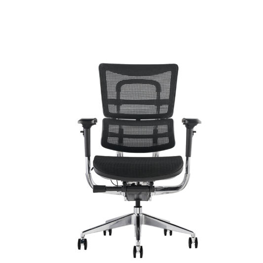 i29 ergonomic office chair with mesh back and adjustable armrests
