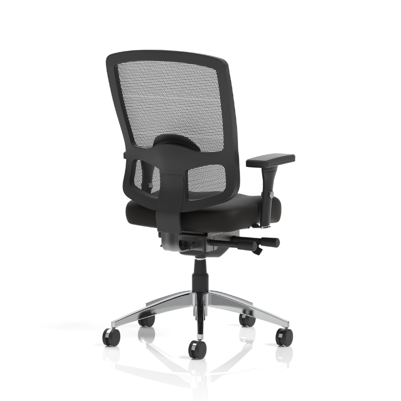 Dynamic Regent high-back mesh chair showing supportive backrest – rear view