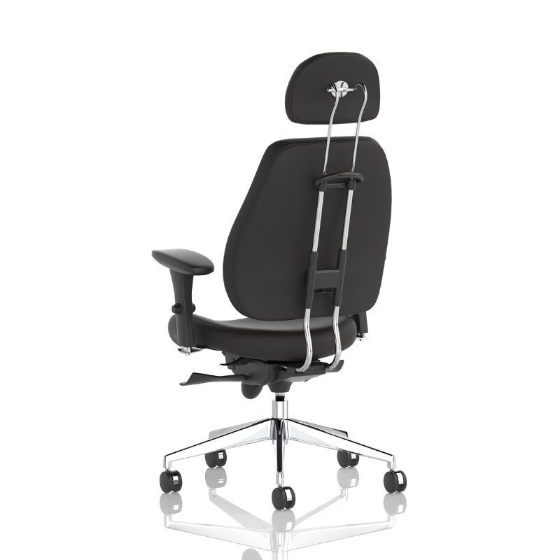 Back view of Dynamic Chiro Plus ergonomic office chair with adjustable arms and headrest.