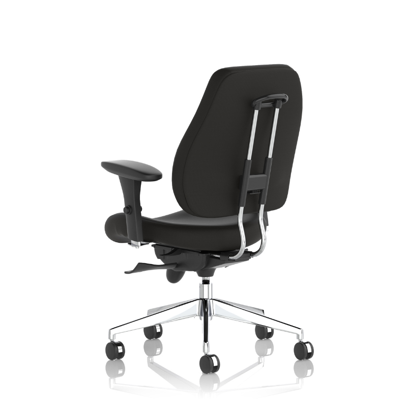 Back view of Dynamic Chiro Plus ergonomic office chair with adjustable arms and no headrest.