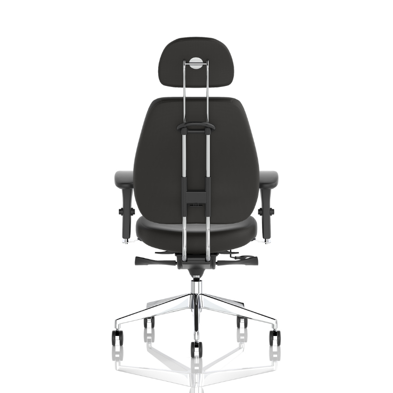 Dynamic Chiro Plus high-back ergonomic office chair with adjustable arms and headrest rear view.