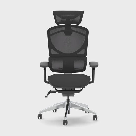 Ergo Click Plus Demo video
