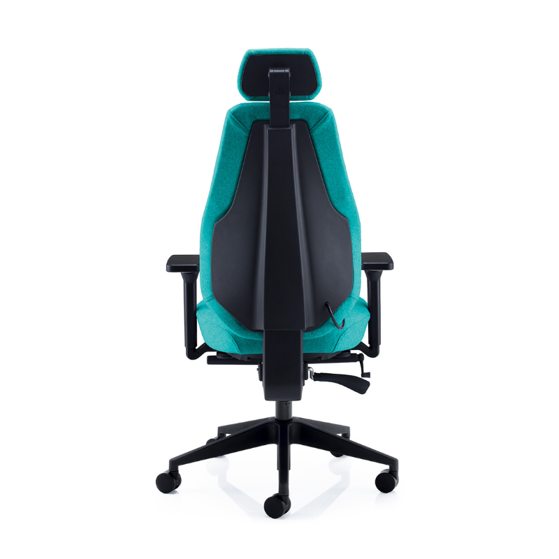 Rear view of the PSI Ergo Dynamic ergonomic office chair showing the ergonomic backrest