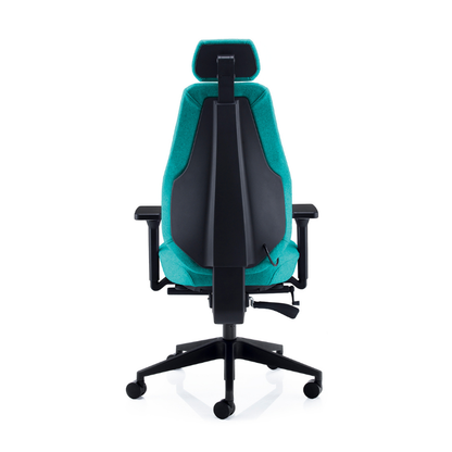 Rear view of the PSI Ergo Dynamic ergonomic office chair showing the ergonomic backrest